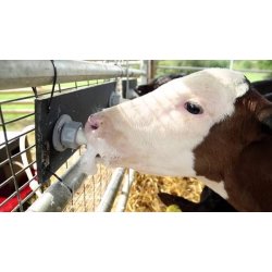 Heatwave Mlke varmer