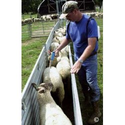 Drenchgun med beholder       