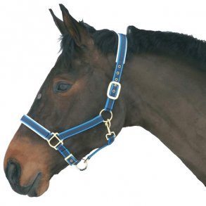 Hestegrime - Exclusiv