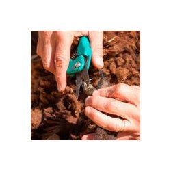 Klovsaks - Burgon &amp; Ball