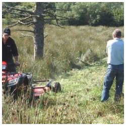 QuadX - WILDCUT HEAVY DUTY