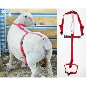 Prolaps og adopta sele, Rurtec