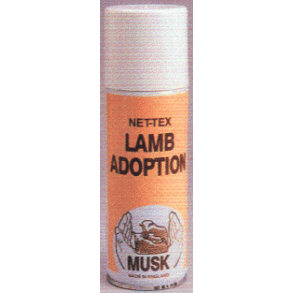 Lamb adoption - Acceptrone