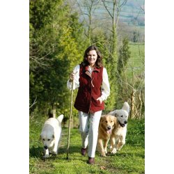 Vandrestav -  Kastanie