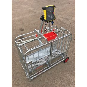 Lammevgt elektronisk