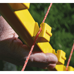 Rappa plastpl, Vlg farve