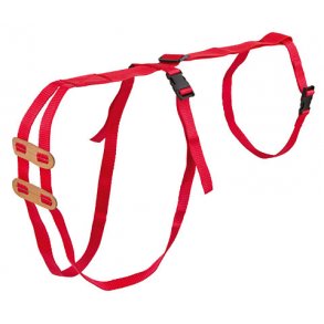 Prolabs Sele, Ritchey