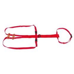 Prolabs Sele, Ritchey