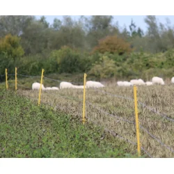 Super ledende Polytrd - 600 mtr.