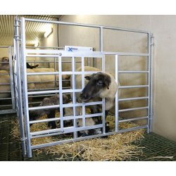 Adoptionsgrinde -  vlg strrelse