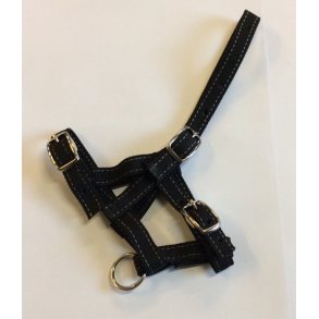 Fregrime med 3 spnder