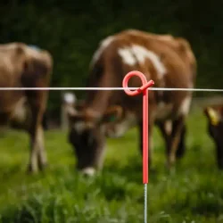 Pigtail Hegnspl. bdt. 10 stk.