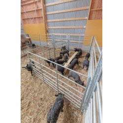 Adoptionsgrinde -  vlg strrelse