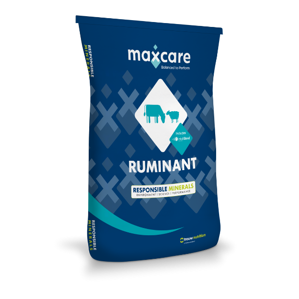 Maxcare  FA  Sheep ,mineraler